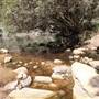 O'Hares Creek