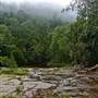 Kangaroo valley