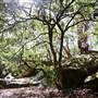 Warraroon Reserve