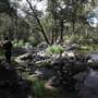Coxs River - Glenroy Cabins and Camp Ground