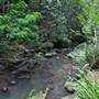 Flatrock Gully