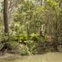 Georges River