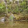 Georges River