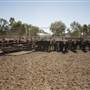 Coonamble