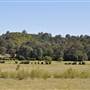 Scenic NSW Equine Centre