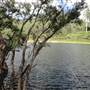 Clarence River Wilderness Lodge