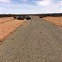 Old Adelaide Road