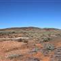 Broken Hill Sculptures Site and Living Desert