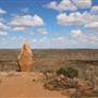 Broken Hill Sculptures Site and Living Desert