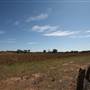 Gulgong
