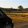 Hopeful Ranch Olive Farm File 1