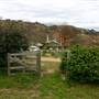 Hopeful Ranch Olive Farm File 2