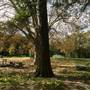 Centennial Park