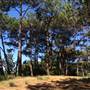 Centennial Park