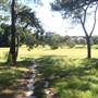 Centennial Park