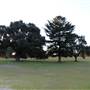 Centennial Park - Loch Ave South