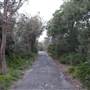Gap Park