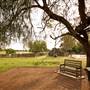 Camden Town Farm