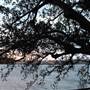 Mrs. Macquarie's Point - Royal Botanic Garden Sydney
