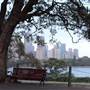 Mrs. Macquarie's Point - Royal Botanic Garden Sydney