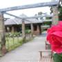 Rose Garden & Pavilion - Royal Botanic Garden Sydney