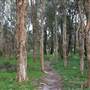 Centennial Park - Ash Paddock