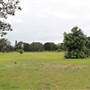 Centennial Park - Church Grounds