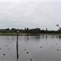 Centennial Park - Duck Pond