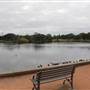 Centennial Park - Duck Pond