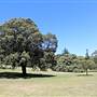 Centennial Park - Federation Valley