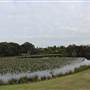 Centennial Park - Lachlan Reserve