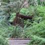Centennial Park - Lachlan Swamp