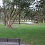 Centennial Park - Lachlan Swamp