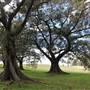 Centennial Park - Mount Steel