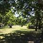 Centennial Park - Musgrave Pond
