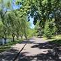 Centennial Park - Musgrave Pond