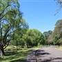 Centennial Park - Musgrave Pond