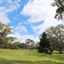 Centennial Park - Paperbark Grove