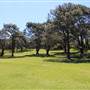 Centennial Park - Parade Grounds