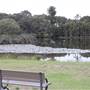 Centennial Park - Rose Garden