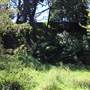Centennial Park - Sandstone Ridge