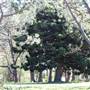 Centennial Park - Sandstone Ridge