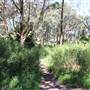Centennial Park - Sandstone Ridge