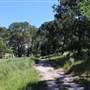 Centennial Park - Sandstone Ridge