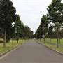 Centennial Park - Frog Hollow