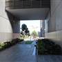 Central Park Sydney Precinct