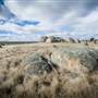 Monaro Plains