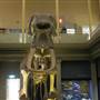 Australian Museum