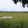 Camelot