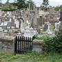 South Head Cemetery